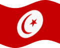 Flagge1