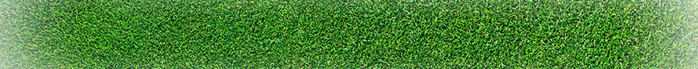 Spielort